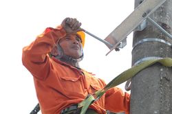 Cập nhật lịch cúp điện An Giang từ ngày 11 - 14/6/2026: Sẽ cắt điện từ 6h đến 18h hàng loạt khu dân cư
