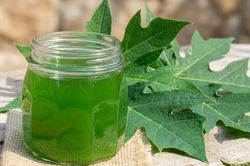 7 lợi ích sức khỏe khi uống nước lá đu đủ 3 lần một tuần