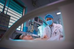 Ai có thể mắc bệnh sốt xuất huyết Dengue?