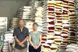Bắt vợ chồng giám đốc sản xuất, buôn bán gạo giả các thương hiệu nổi tiếng
