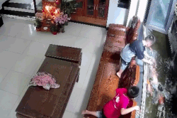 Con trai vừa nghỉ hè đã làm chết nguyên đàn cá Koi 17 con của bố