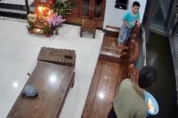 Mới nghỉ hè, cậu bé khiến bố mất đàn cá Koi tiền triệu
