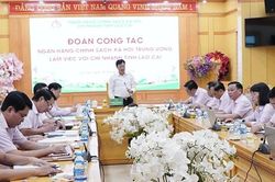 Lào Cai: Bảo đảm hoạt động tín dụng chính sách ổn định, thông suốt