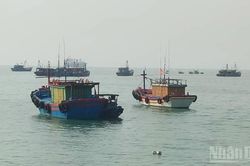 Quảng Trị đầu tư 35 tỷ đồng xây dựng Khu neo đậu tàu thuyền vịnh Hòn La