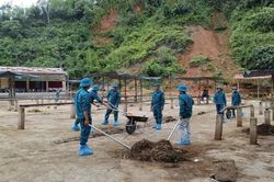 Khẩn trương phòng, chống dịch lở mồm long móng ở Thái Nguyên
