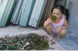 Tản mạn Tết lá mồng Năm