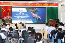 Tăng hiệu quả quản lý, bảo tồn các khu Ramsar tại Việt Nam