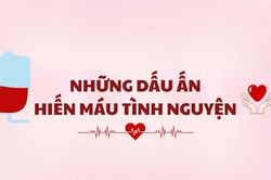 Những dấu ấn hiến máu tình nguyện