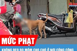 Không đeo rọ mõm cho chó ở nơi công cộng bị phạt tới 2 triệu đồng