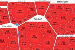 Cổ phiếu ngân hàng khởi sắc, VN-Index vẫn giảm điểm