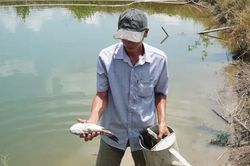 Bị ảnh hưởng do thi công Cảng hàng không Cà Mau: Các hộ dân chưa đồng ý mức hỗ trợ thiệt hại