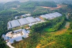 Doanh nghiệp chăn nuôi ở Phú Thọ bị xử phạt gần nửa tỷ đồng