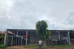 Vụ kiện liên quan thửa đất đã mua nhưng chưa được sang tên ở Đắk Lắk