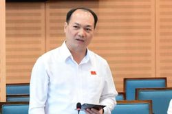 Bí thư xã Đông Anh: Xin đấu giá một khu đất, hồ sơ 'loanh quanh, hết chỗ này tới chỗ kia' gần 10 tháng