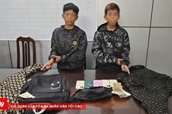 Bắt giữ hai đối tượng tuổi vị thành niên gây hàng loạt vụ trộm cửa hàng điện thoại