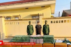 Đồn Biên phòng Pò Hèn phát hiện, thu giữ 480kg tràng lợn không rõ nguồn gốc