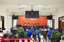 Tử hình 2 bị cáo trong đường dây mua bán hơn 400kg cần sa