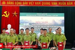 Bốn tỉnh Việt Bắc tăng cường phối hợp bảo vệ rừng vùng giáp ranh
