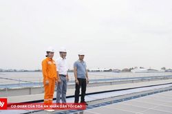 Từ những mái nhà xanh đến bảo đảm an ninh năng lượng