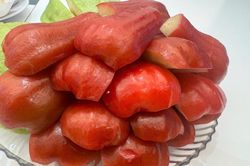 Top 4 thực phẩm mùa hè có lợi cho gan, thận