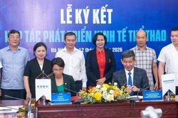 Cục Thể dục thể thao tìm hướng thúc đẩy phát triển kinh tế thể thao