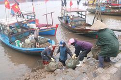 Hỗ trợ người dân chuyển đổi nghề khai thác thủy sản