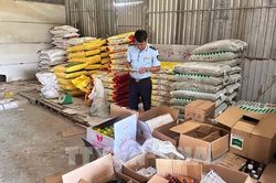 Tây Ninh xử lý hơn 2.500 vụ buôn lậu, thu ngân sách 174 tỷ đồng