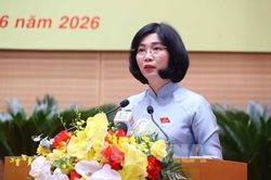 H&agrave; Nội xem x&eacute;t 55 cơ chế, ch&iacute;nh s&aacute;ch để thi h&agrave;nh Luật Thủ đ&ocirc;
