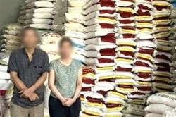 Bắt vợ chồng Giám đốc chỉ đạo nhân viên sản xuất gạo giả mạo nhiều nhãn hiệu nổi tiếng
