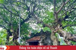 Chuyện kể Quận công Mai An Dũng