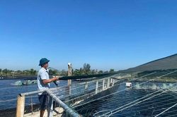 Bảo vệ diện tích nuôi trồng thủy sản trong mùa nắng nóng