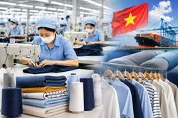 Chứng khoán Shinhan: Ngành dệt may chuyển trọng tâm sang nâng cao chất lượng cốt lõi
