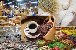 Nhập khẩu nông lâm thủy sản 5 tháng đầu năm đạt hơn 22 tỷ USD, tăng 12,6%