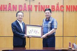Tỉnh Bắc Ninh và Tập đoàn T&T tăng cường hợp tác đầu tư