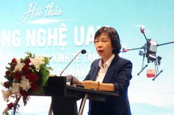 Thúc đẩy kinh tế tầm thấp tại Đà Nẵng