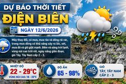Bản tin Dự báo thời tiết ngày 13/6/2026