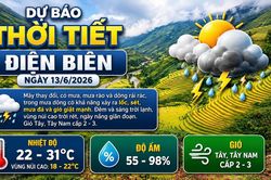 Bản tin Dự b&aacute;o thời tiết ng&agrave;y 13/6/2026