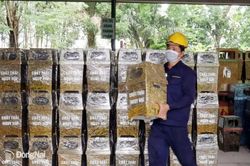 Doanh nghiệp tái chế ở Đồng Nai đưa 800 thùng rác đến đặc khu Phú Quốc