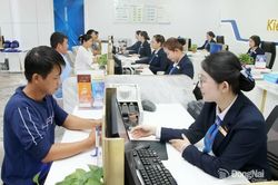 Tổng huy động vốn của các tổ chức tín dụng tại thành phố Đồng Nai tăng 5%