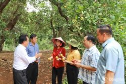 Thủ phủ điều của đất Ðồng Nai...