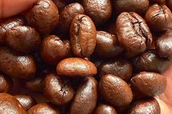 Cà phê đảo chiều tăng giá, đạt 85.300 đồng/kg