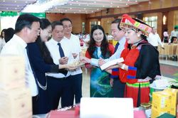 Hợp tác phát triển du lịch
