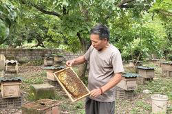 Mật ngọt Tân Thành