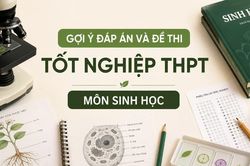 Cập nhật đề thi, đáp án môn Sinh học tốt nghiệp THPT 2026 nhanh mới nhất