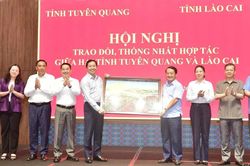 Lào Cai – Tuyên Quang: Hợp tác cùng phát triển