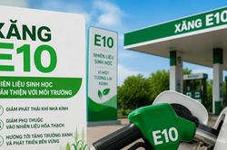 Xăng sinh học E10 chính thức triển khai: Lộ trình 14 năm bảo đảm an ninh năng lượng