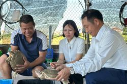 Hành trình từ 200 con ba ba giống đến trang trại liên hoàn doanh thu tiền tỷ