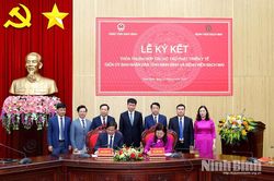 UBND tỉnh Ninh Bình và Bệnh viện Bạch Mai ký kết thỏa thuận hợp tác hỗ trợ phát triển y tế
