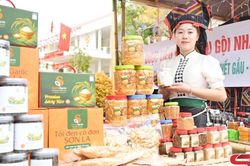 HTX trong vai trò 'đầu mối' liên kết