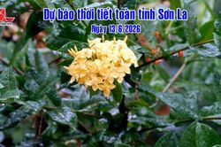 Dự báo thời tiết toàn tỉnh Sơn La ngày 13/6/2026